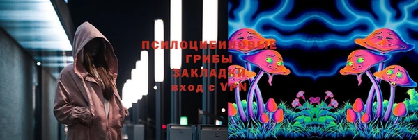 mdpv Касимов