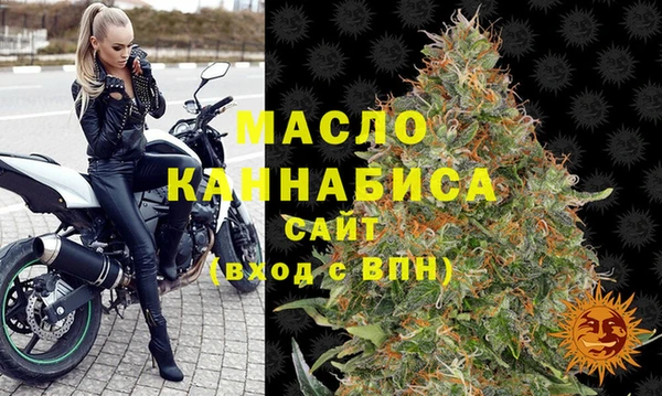 гашик Корсаков