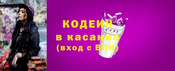 гашик Козельск