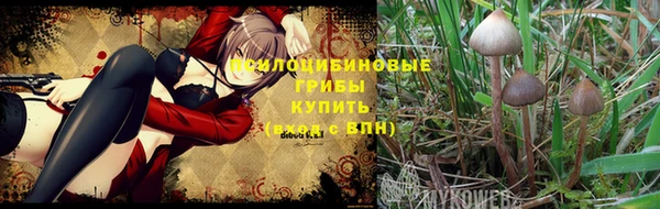 кокаин колумбия Коряжма