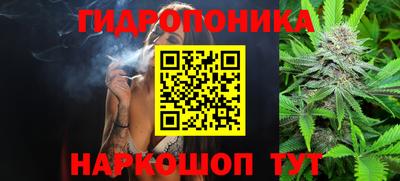 прущие грибы Ирбит