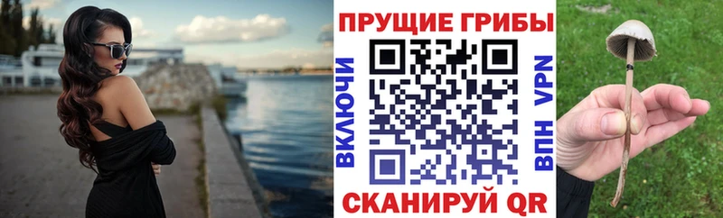 купить закладку  MEGA вход  мориарти телеграм  Лабытнанги  Псилоцибиновые грибы Magic Shrooms 