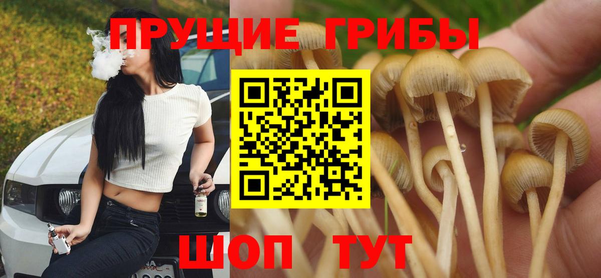 Псилоцибиновые грибы MAGIC MUSHROOMS Лабытнанги